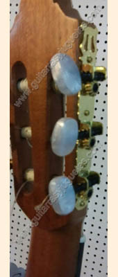 Guitarra maple mate 5